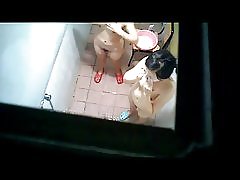 Luna amp; venner 483