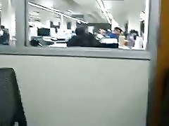 Biblioteket fingering af loyalsock