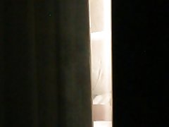 Holiday inn (serie) del ii